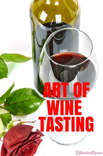 Art of Wine Tasting