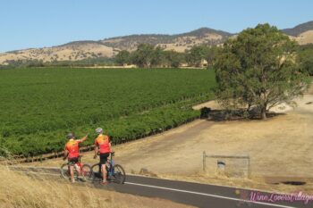 Cycling trails meet grape expectations in top wine region