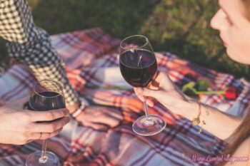 Top 4 Red Wine Varieties for Summer Sipping and a picnic.